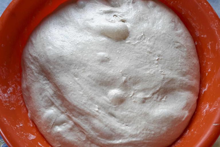 Dinkelbrötchen backen im Holzbackofen