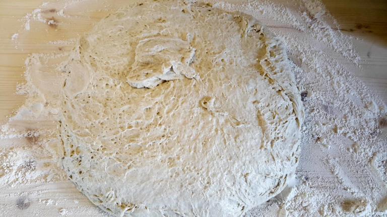 Dinkelbrötchen backen im Holzbackofen