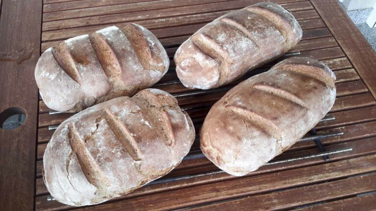 Sauerteigbrot- Roggen Dinkel