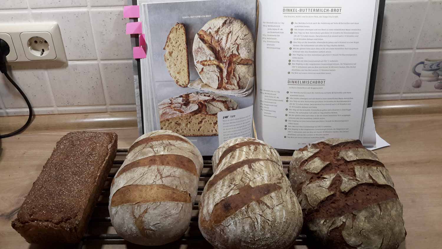 backen im holzbackofen brot kartoffelkuchen sparrips hähnchenkeulen rostbrätl dinetten nudelsalat bratkartoffeln