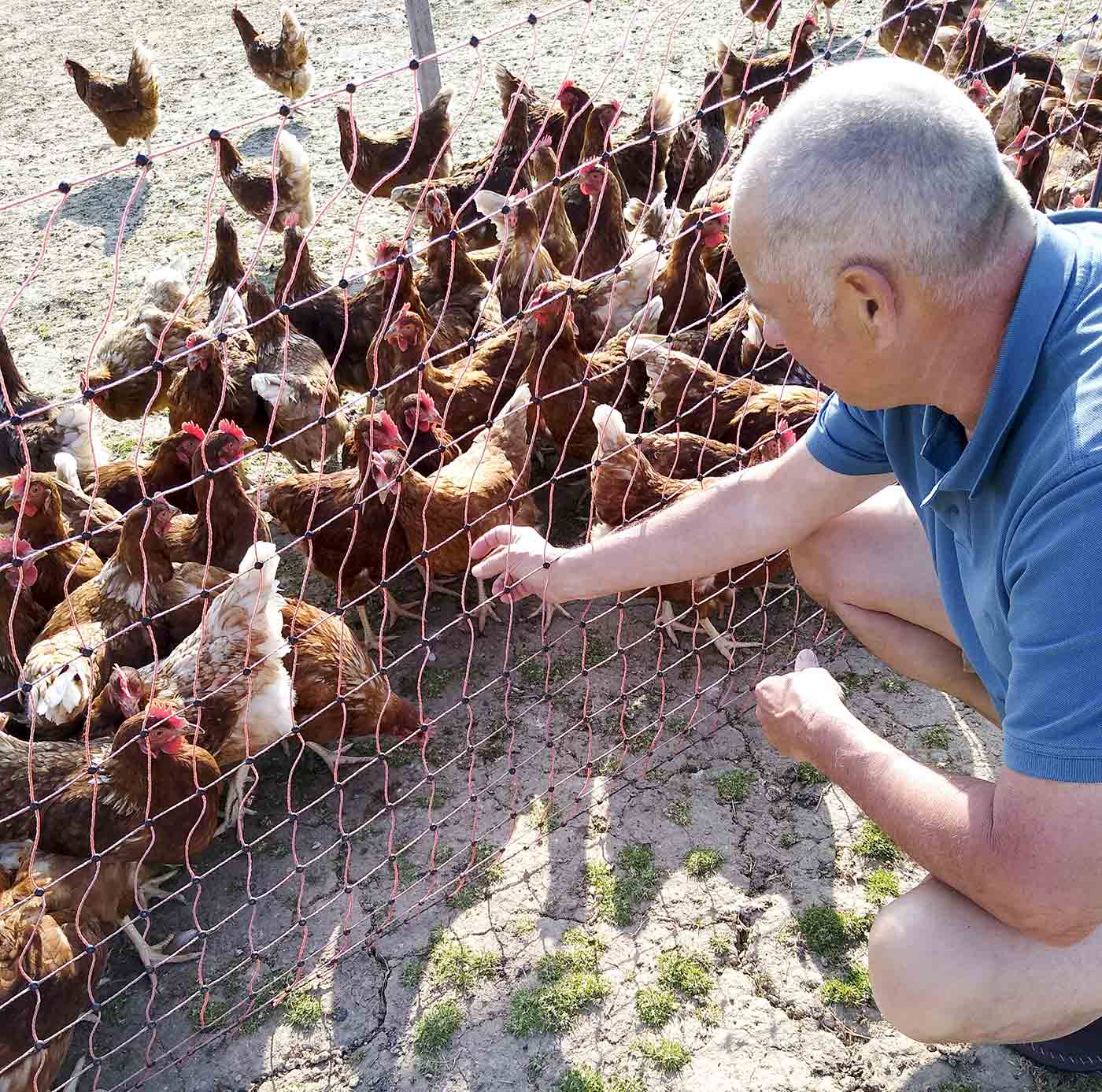 fichtelhof rauschenberg in rößlau