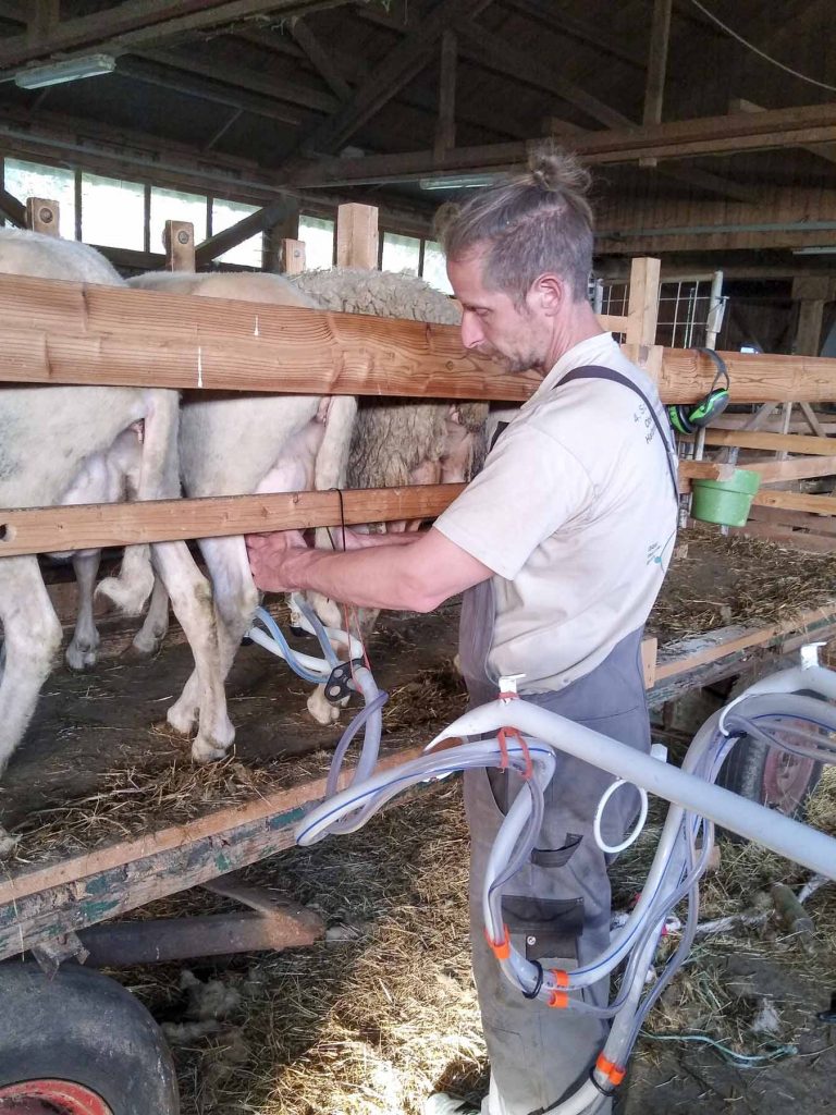 landvergnügen neuhausener weide bei rehau 04