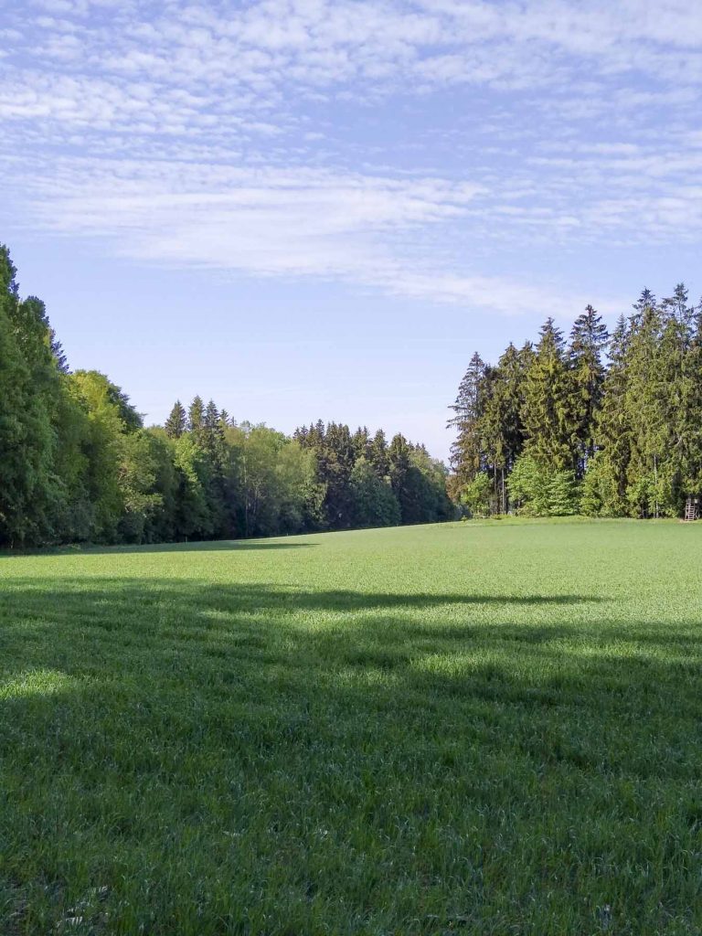 landvergnügen neuhausener weide bei rehau 11