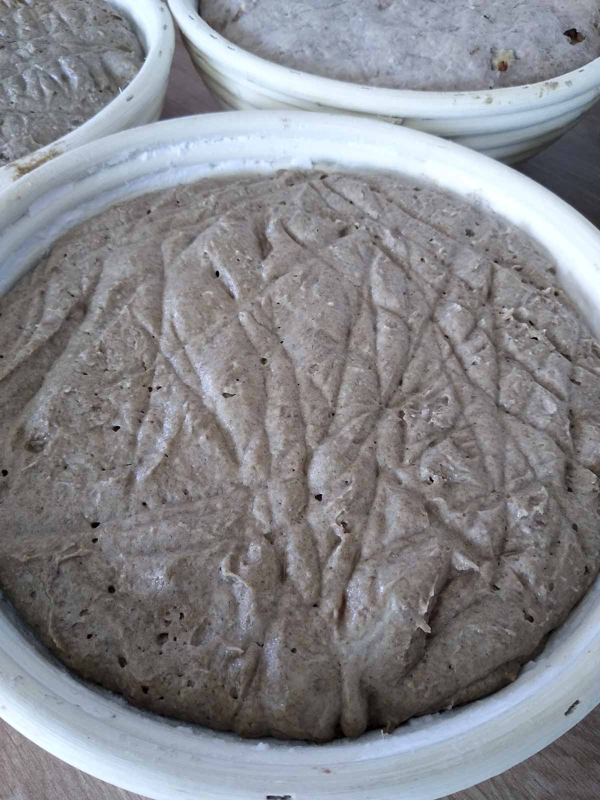 backtag 27 september 2023 05