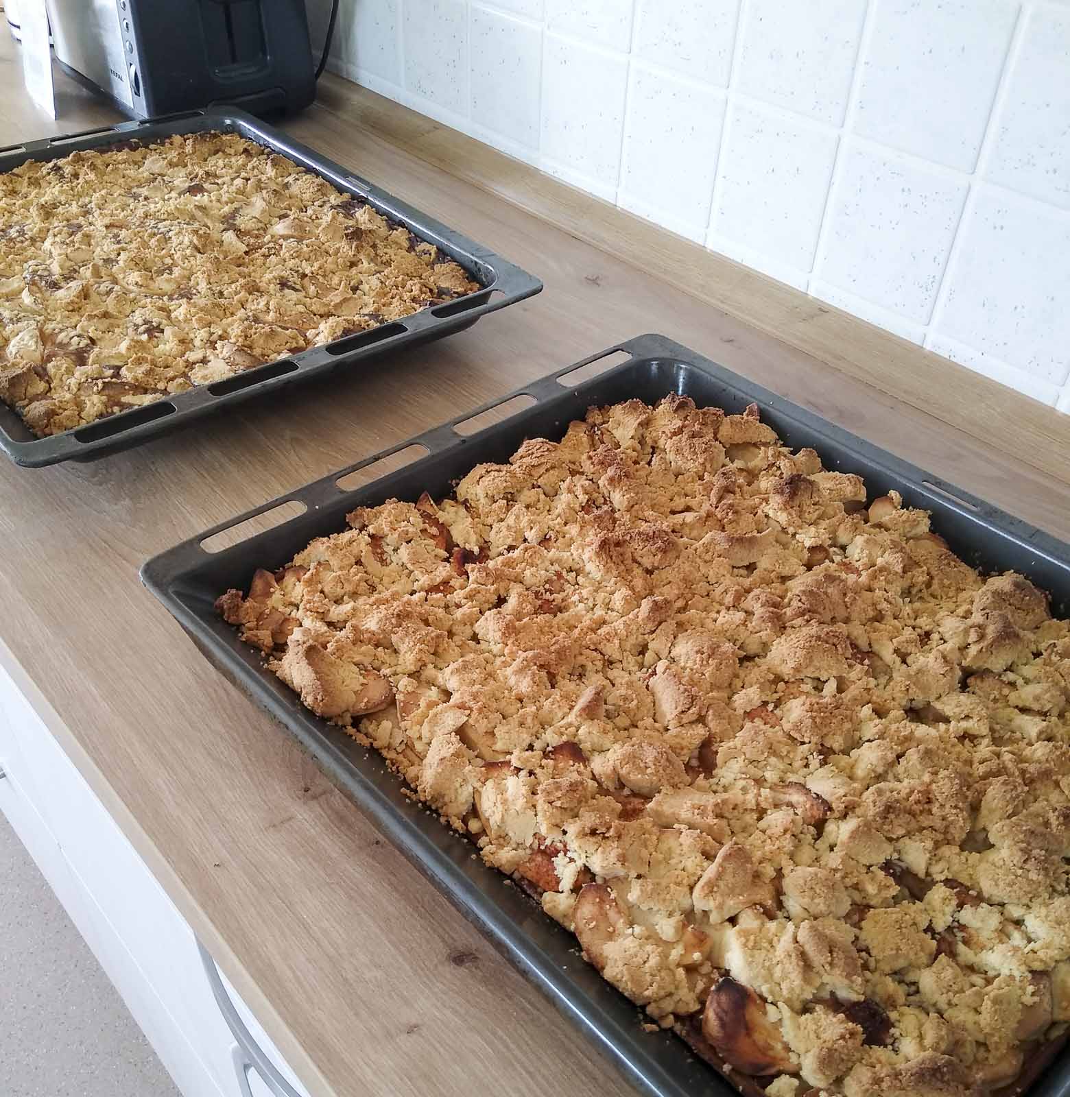 backtag 27 september 2023 15