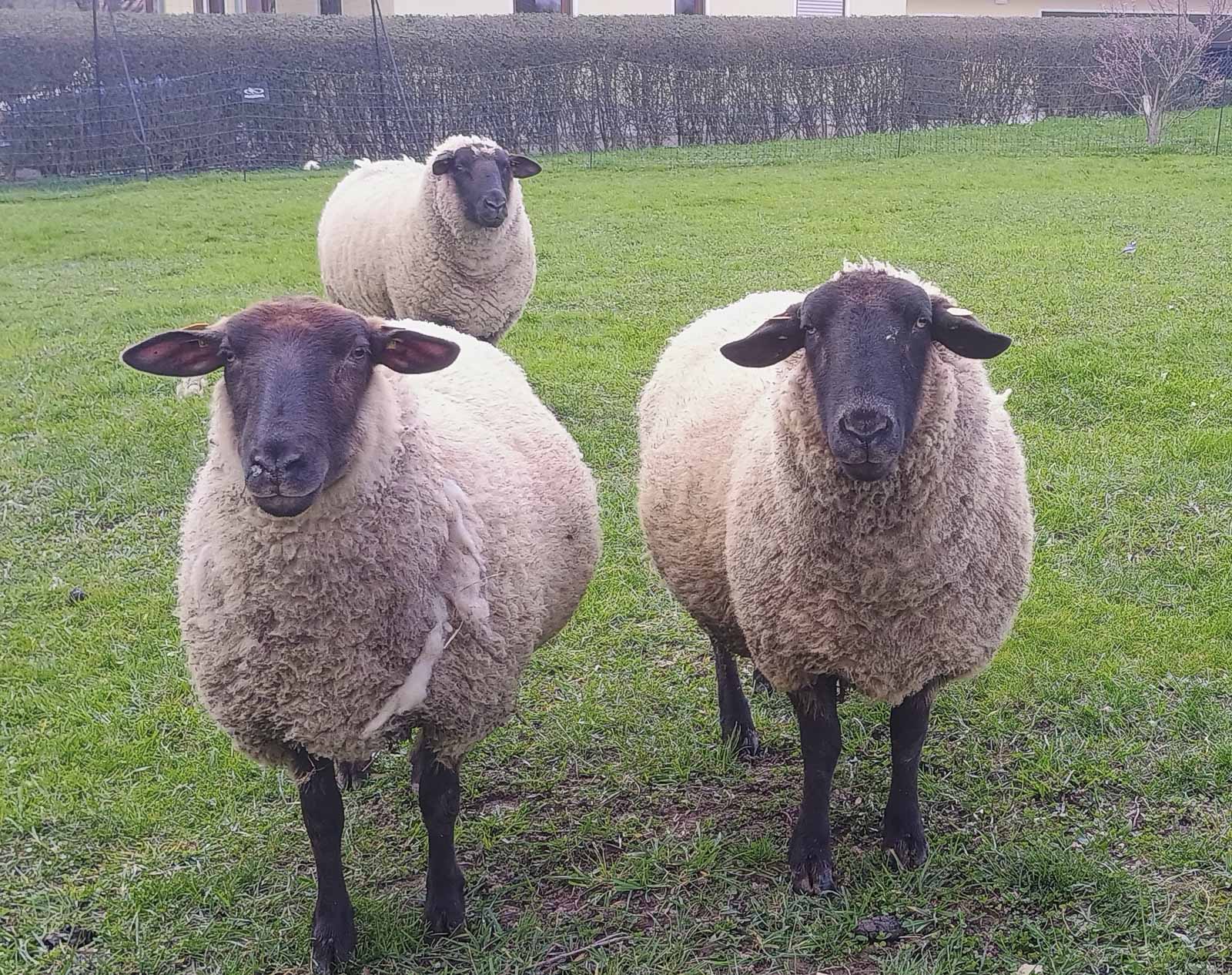 landvergnügen kulturgut linda