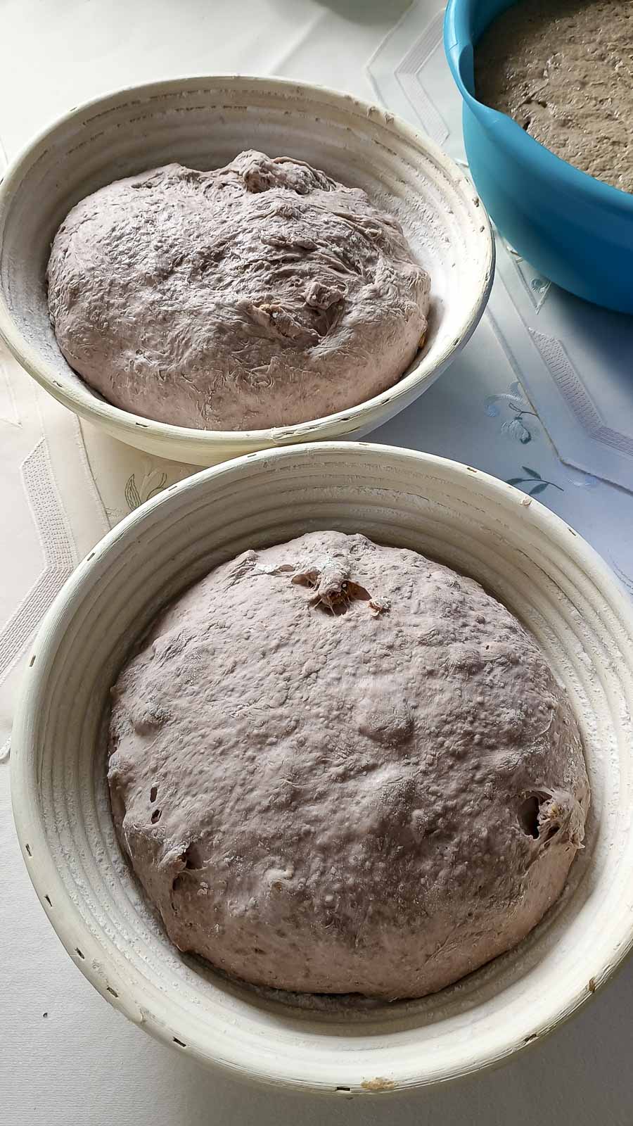 backen im holzbackofen: ein kulinarisches abenteuer am 2. märz 2024