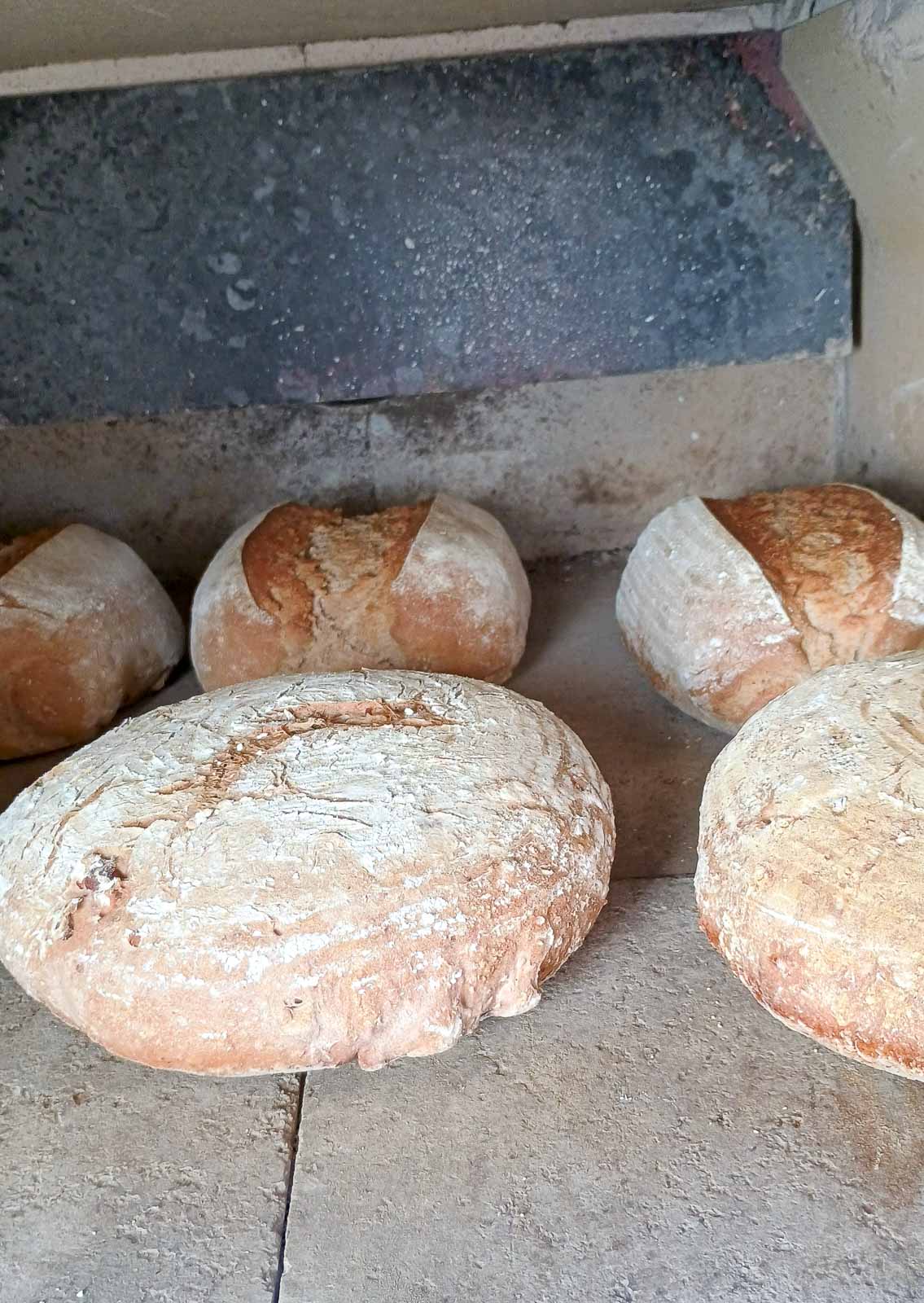 backen im holzbackofen: ein kulinarisches abenteuer am 2. märz 2024