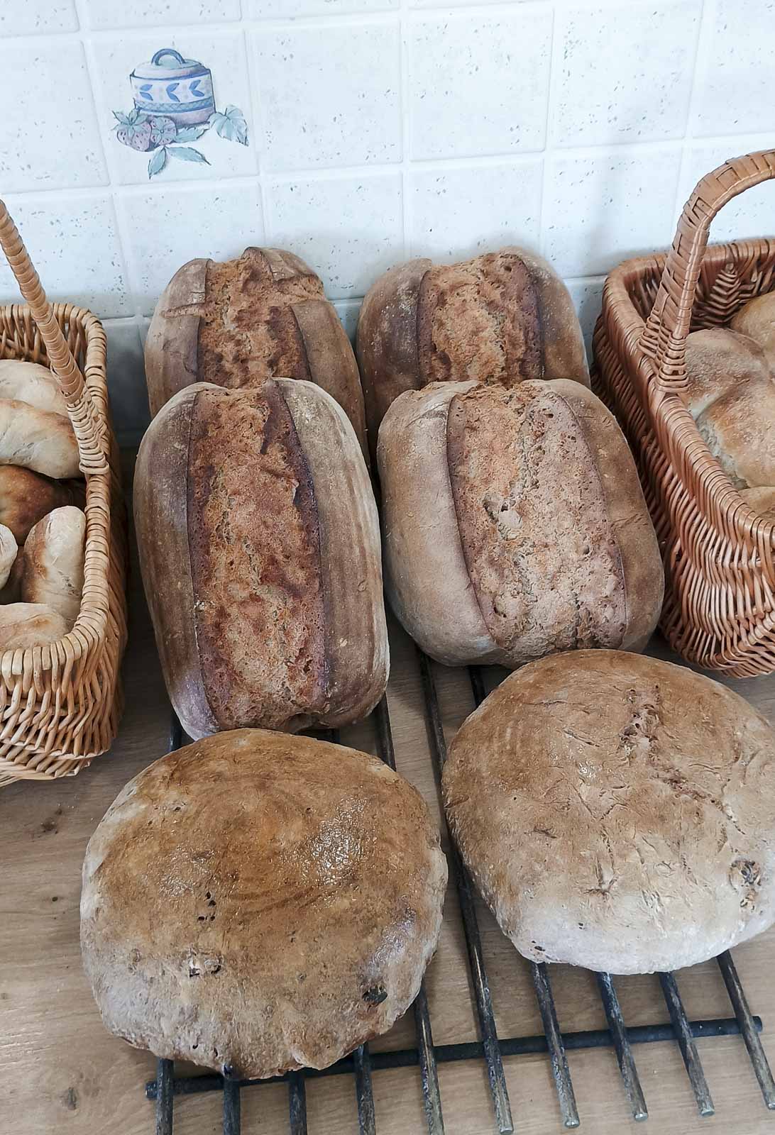 backen im holzbackofen: ein kulinarisches abenteuer am 2. märz 2024